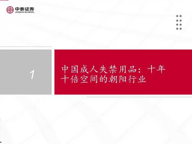 国产37页,深度解析我国科技发展的新篇章